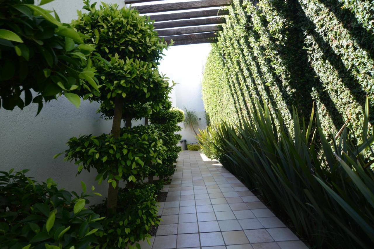 Suites La Fe Oaxaca Dış mekan fotoğraf